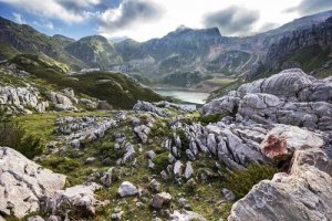 Lugares para ver animais selvagens na Espanha