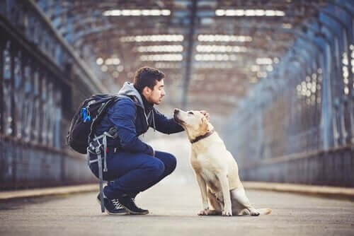 Cão com seu dono em estação