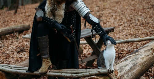 Os gatos na Idade Média