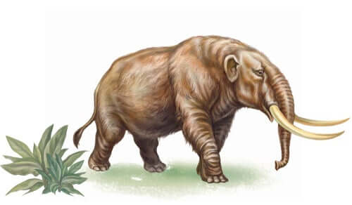 Conheça a história dos mastodontes extintos