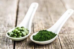 Chlorella para cães: 3 principais benefícios