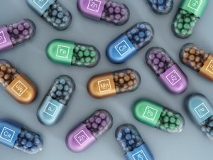 Vitaminas e minerais sintéticos nas rações para cães