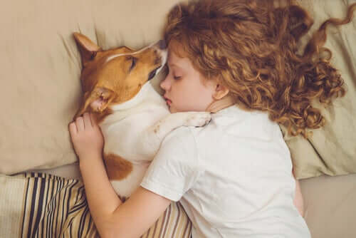 Menina dormindo com cachoro