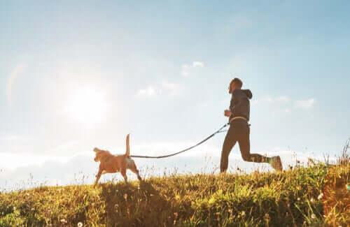 A importância do cão na sociedade: mais atividade física