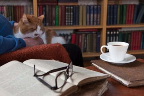 Por que os gatos inspiraram escritores?