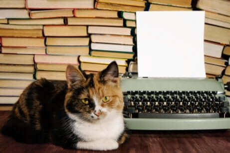 Gato diante de máquina de escrever