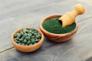 Spirulina para a saúde dos cães: 5 benefícios