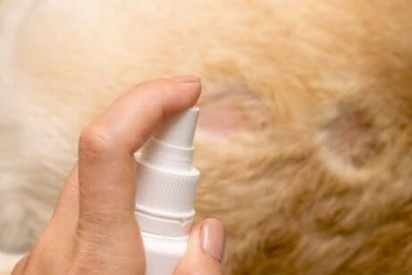 Spray antipulgas para cachorros