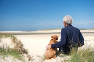 A saúde dos cães idosos: três alterações que merecem atenção