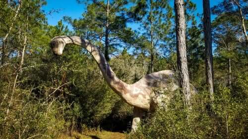 Dinossauros herbívoros: Brontosaurus