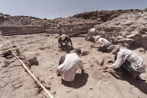 A escavação de cães pré-históricos
