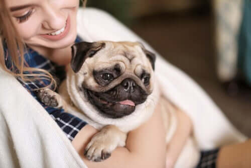 Mulher com seu cachorro pug