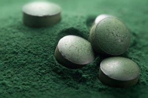 Spirulina para cães: tudo que você precisa saber