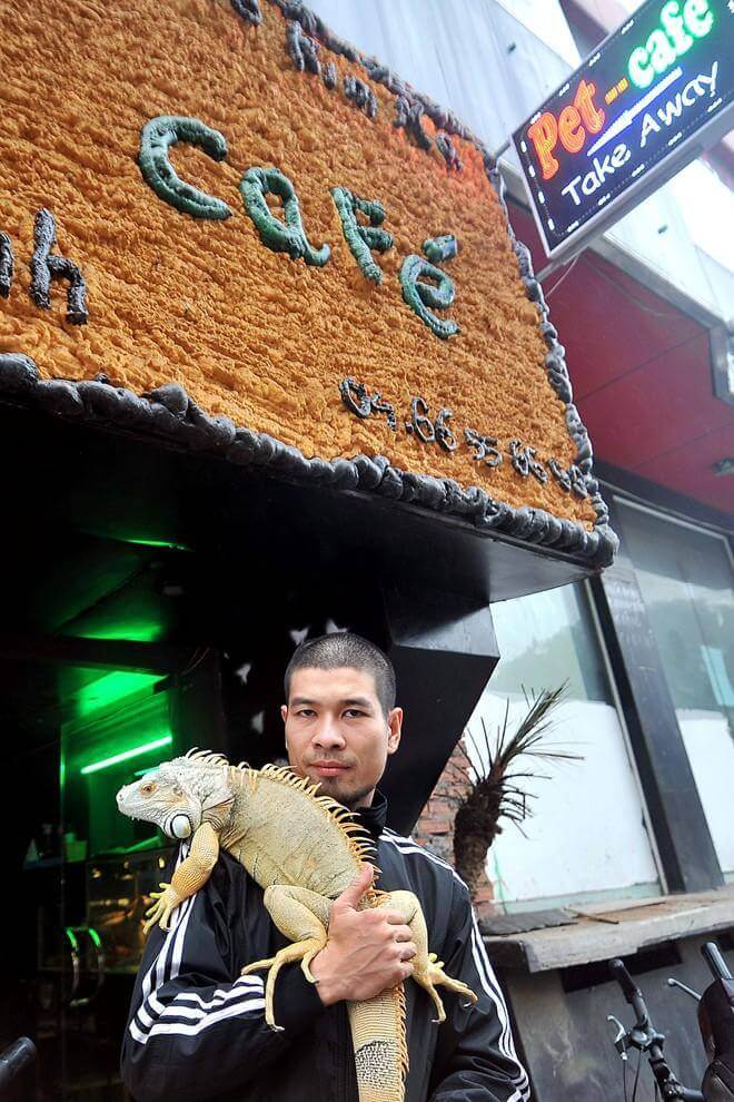 Um café em Hanói na companhia de animais de estimação exóticos