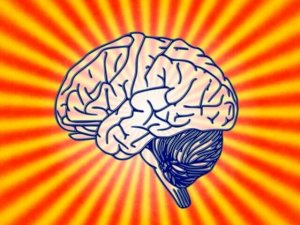 O que é a psicobiologia?