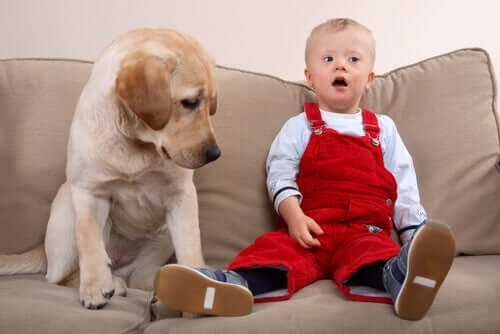 Cachorro e criança com síndrome de Down