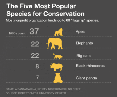 Espécies-bandeira são espécies usadas para conservar a biodiversidade