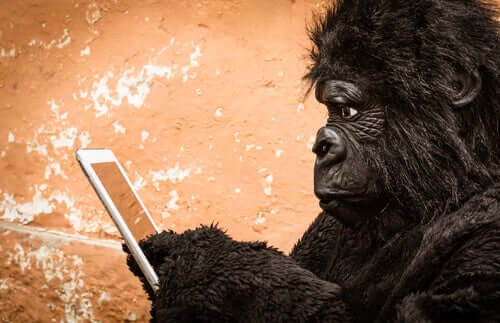 Gorila usando celular