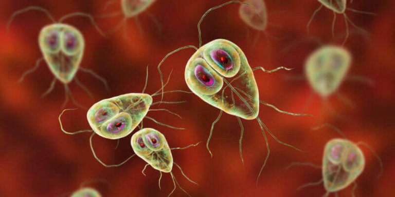 Existem parasitas unicelulares?