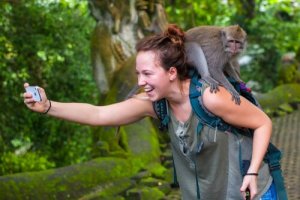 O que há por trás das selfies com macacos?