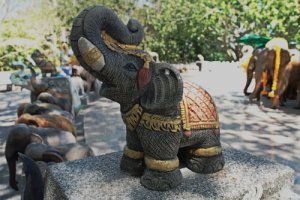 História das civilizações e dos elefantes