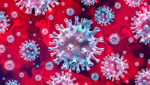 Coronavírus e a infecção em humanos