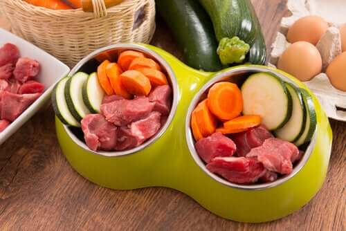 Dieta BARF para cães