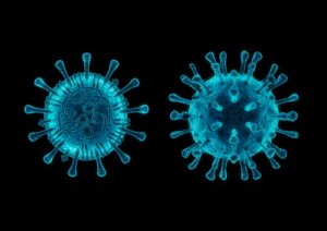 5 fatos sobre o coronavírus canino que você deve conhecer