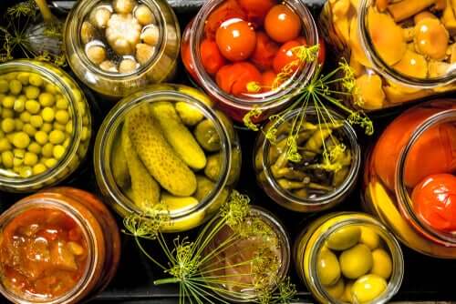 Os cães podem comer alimentos em conserva?