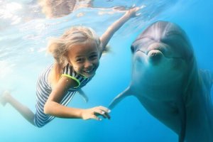 Benefícios da terapia com golfinhos para as crianças