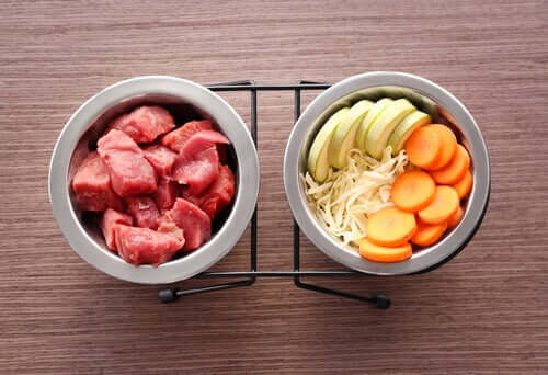 Dieta BARF para cães