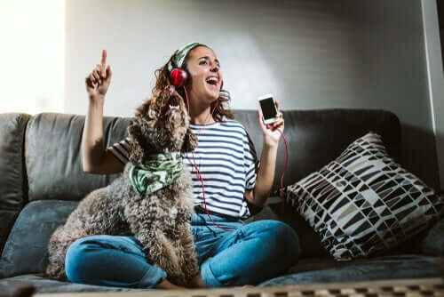 Quando saio de casa, devo deixar a TV ligada para meu animal de estimação?