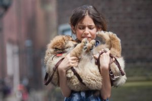 Como lidar com a perda de um animal de estimação?