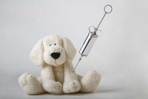 Imunologia veterinária: para evitar e tratar doenças