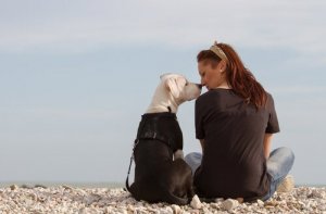 O olfato do cachorro usado para detectar o câncer de mama