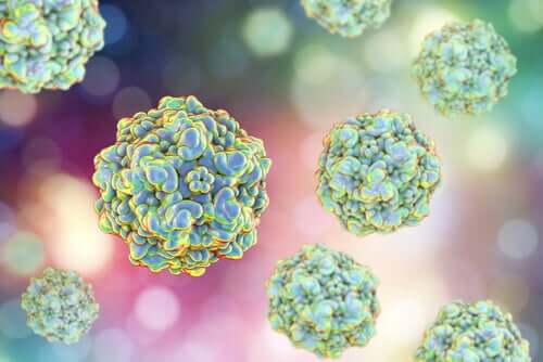 Microrganismos que causam fadiga crônica em animais