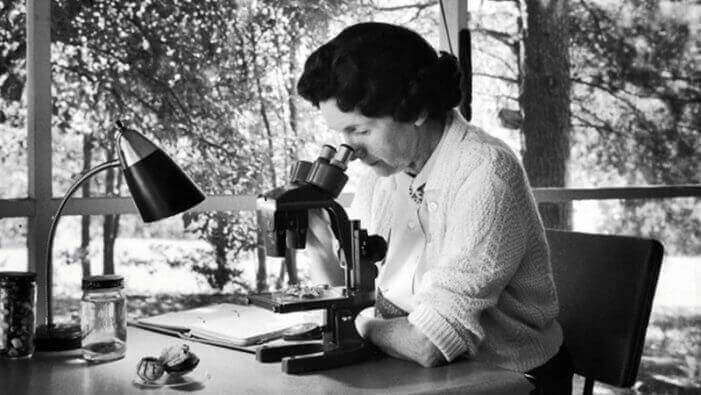 Rachel Carson: história