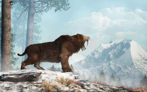 O tigre dentes-de-sabre