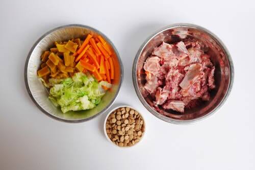 a bi-nutrição para animais de estimação