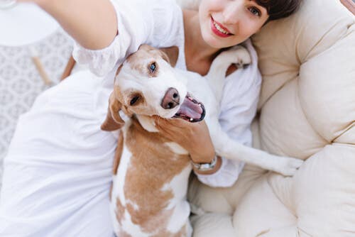 Qual é o cachorro que menos fica doente?