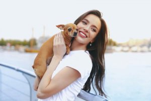 Conheça os cães toy