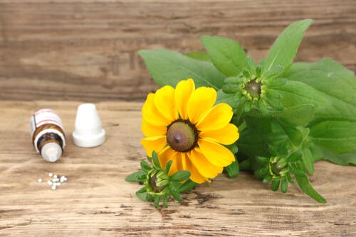 O que é a homeopatia para animais de estimação?