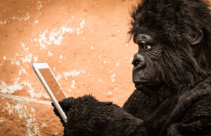 Evolução convergente: a natureza em busca de soluções