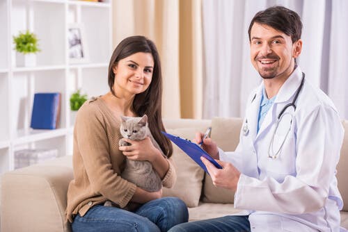 Plano de saúde para gatos