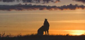 Você sabe o que é um nahual?