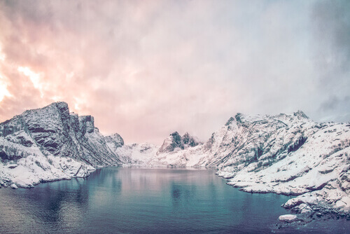 Por que ela viajou tanto?