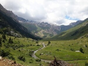 7 parques naturais da Espanha para contemplar a fauna nativa