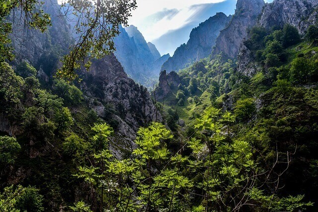Parques naturais da Espanha: Picos da Europa