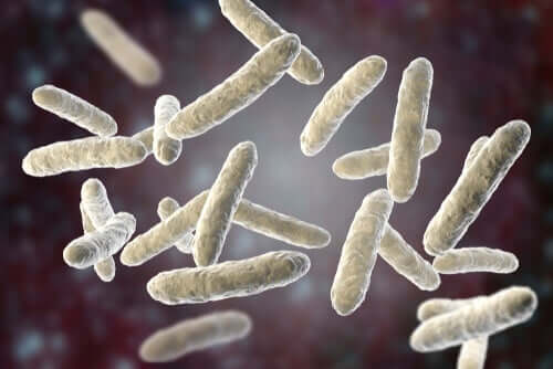 Pneumonia bacteriana