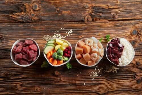 A alimentação de um cão adulto